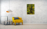 EarthWise Designs Tropical Splash - Canvas Print